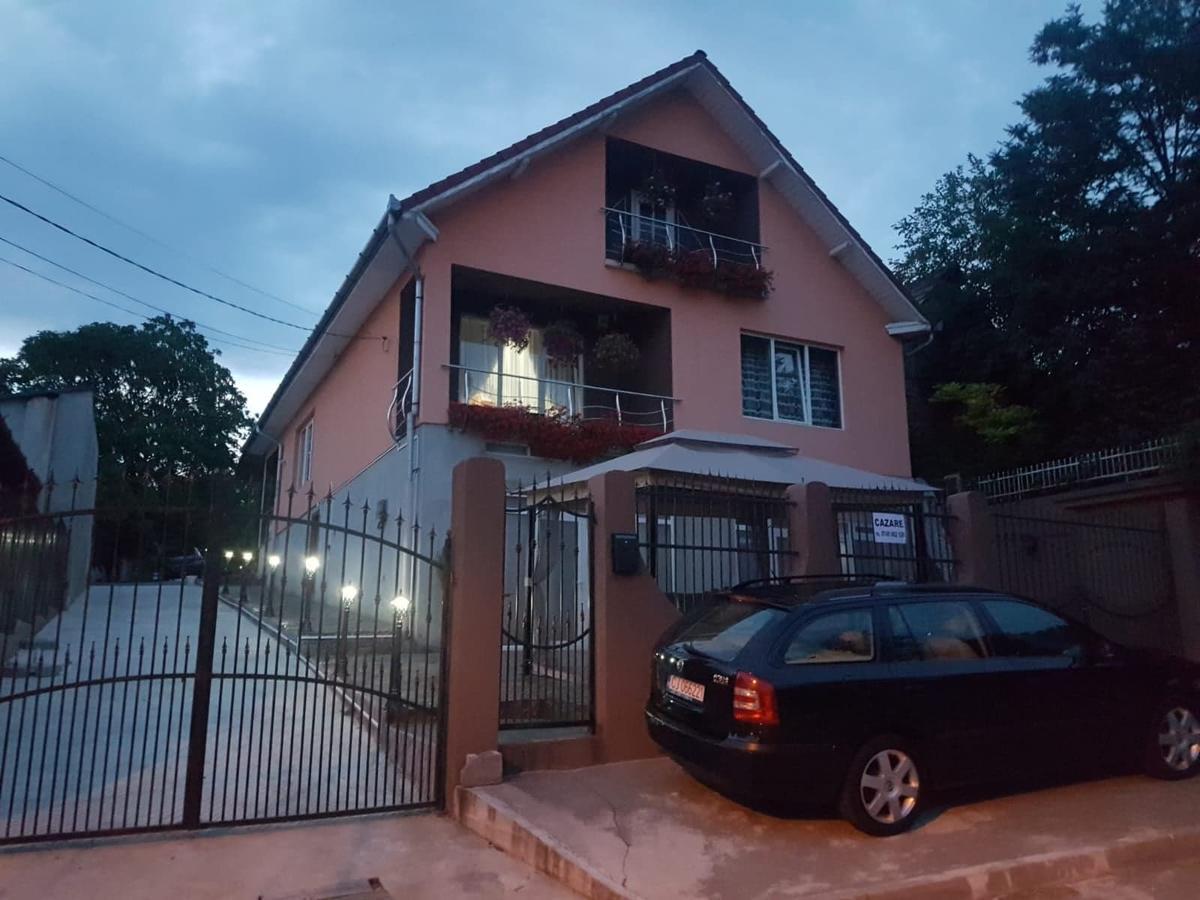 Casa Riana Turda